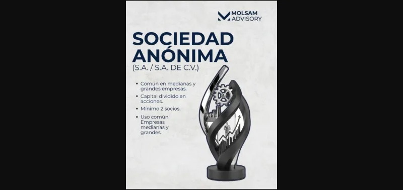 Qué tipo de sociedad conviene para tu negocio en México - imagen 2