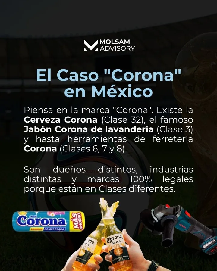 Dos marcas pueden llamarse igual: las clases de Niza - imagen 4