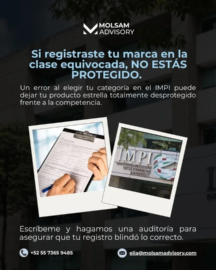 Dos marcas pueden llamarse igual: las clases de Niza - imagen 5