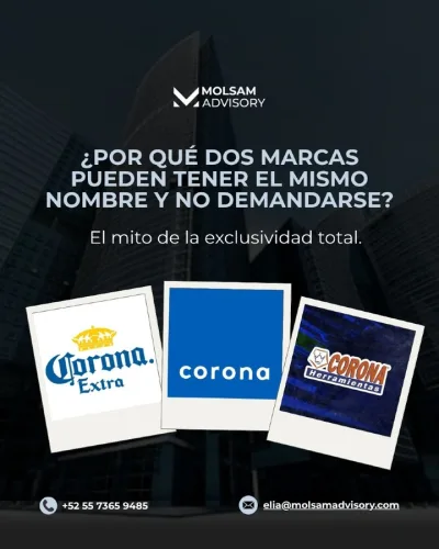 Dos marcas pueden llamarse igual: las clases de Niza