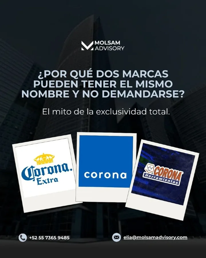 Dos marcas pueden llamarse igual: las clases de Niza - imagen 1