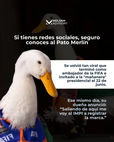 El Pato Merlín: cómo un personaje callejero se volvió una mina de oro marcaria